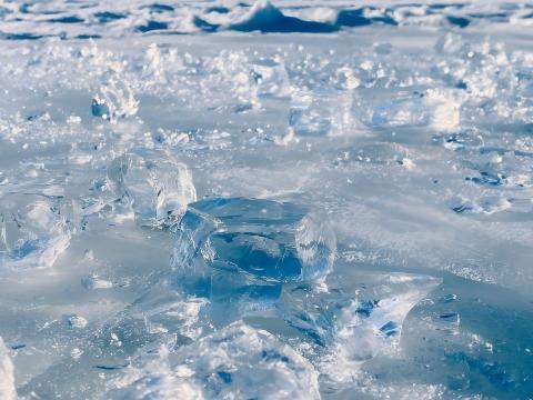 لماذا يصف المصدر تجربة البرودة لكامل الجسم بأنها أريح من الحمام الجليدي؟ بداية من مستقبلات الجلد
